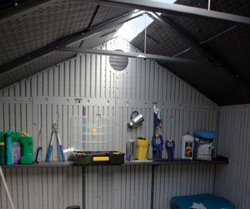 Lifetime Storage Shed 60056 8 x 10 with Deluxe Molding Full-Length Skylight