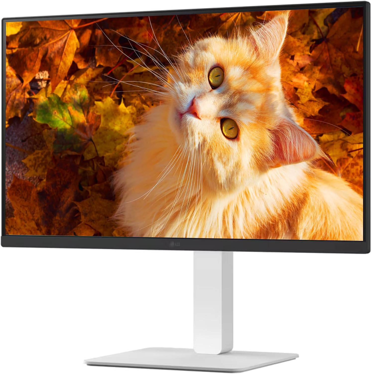 LG 27 inch UltraFine UHD (3840 x 2160) 4K, IPS Monitor, HDR10, 90% DCI-P3, Dynamic Action Sync, Black Stabilizer & Flicker Safe, VESA Mountable, DisplayPort & HDMI, Tilt/Height/Swivel/Pivot Adjustable