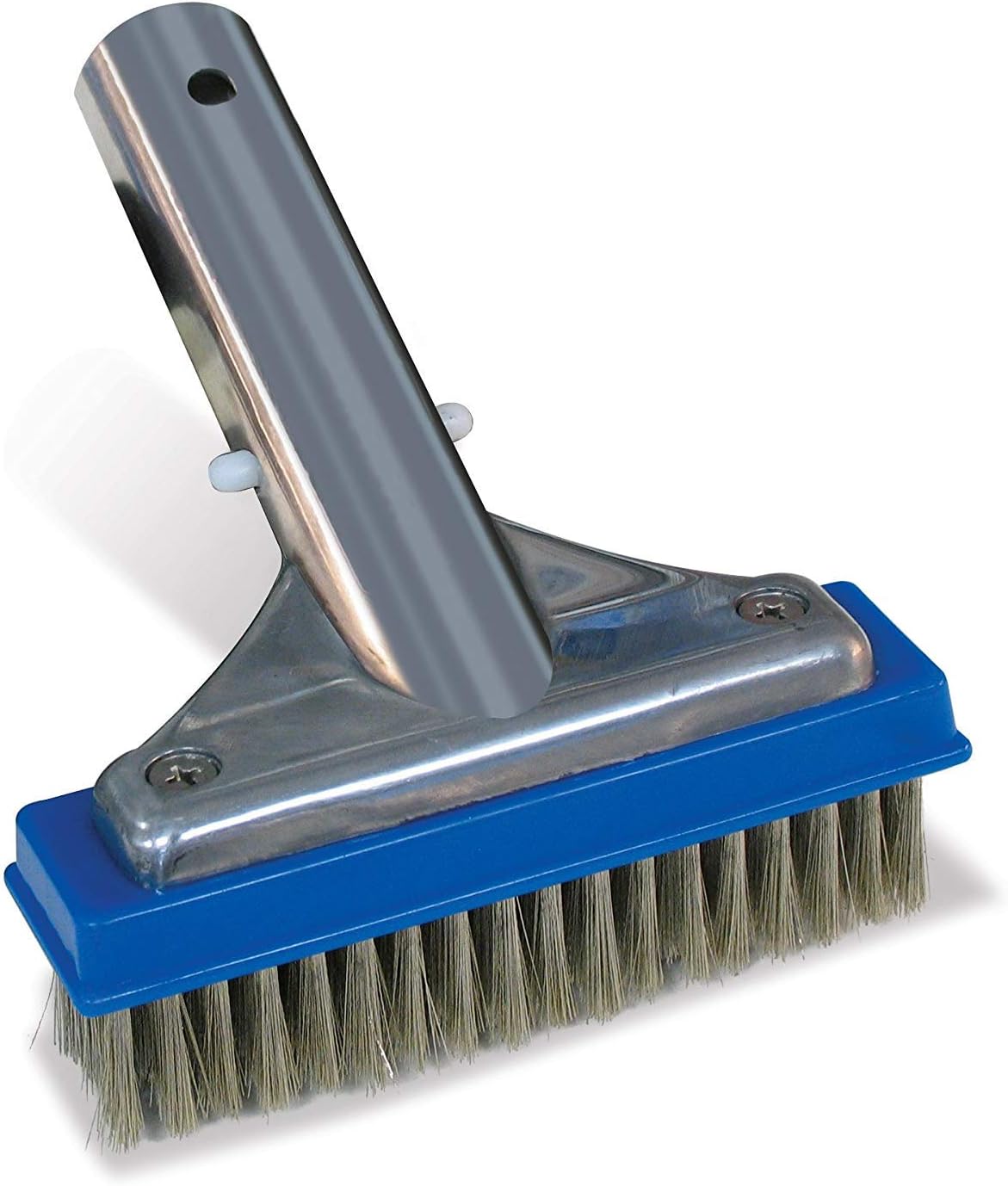 Poolmaster 20178 5-Inch Aluminum-Back Swimming Pool Algae Brush with Stainless Steel Bristles,Classic Collection,(Pack of 12)
