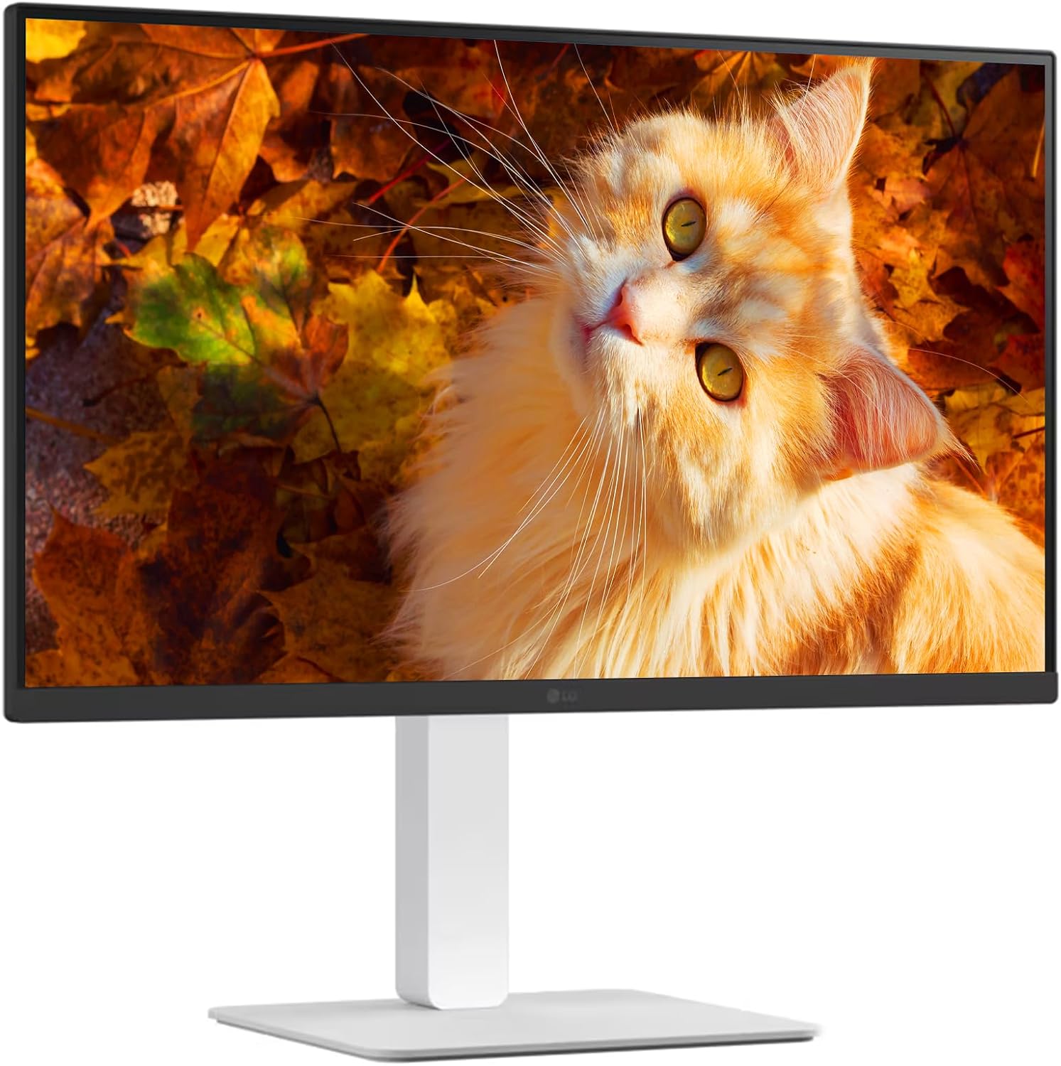 LG 27 inch UltraFine UHD (3840 x 2160) 4K, IPS Monitor, HDR10, 90% DCI-P3, Dynamic Action Sync, Black Stabilizer & Flicker Safe, VESA Mountable, DisplayPort & HDMI, Tilt/Height/Swivel/Pivot Adjustable