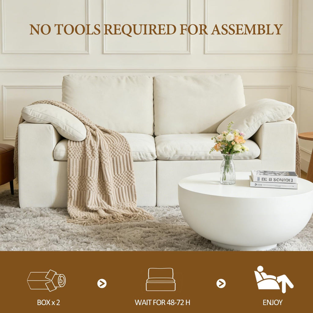 ANONER 78' Loveseat Sofa, Deep Seats, Cloud Sectional Couches for Living Room, 2 Seater Boneless Couch, Modern Modular Loveseats, No Assembly, Beige