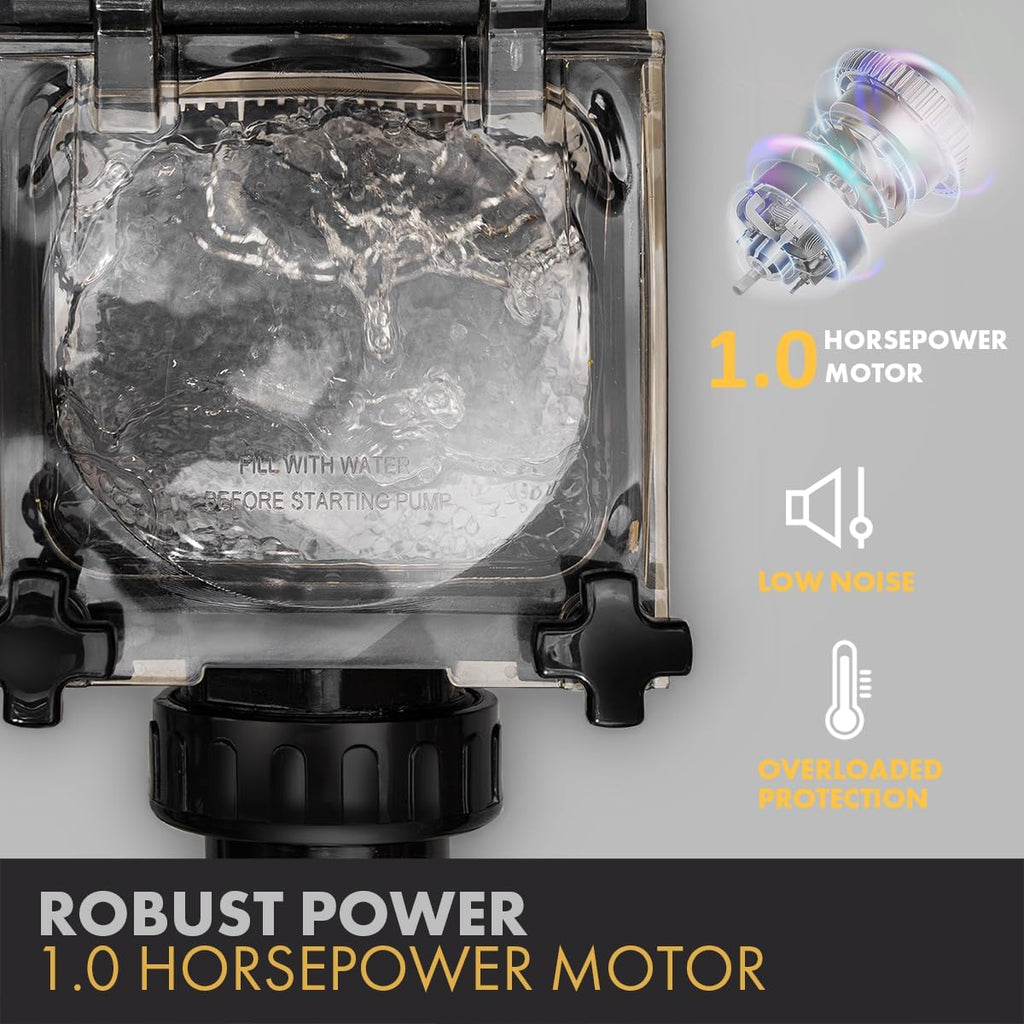 XtremepowerUS 1HP Dual Speed Pool Pump for Above/In-Ground Swimming Pool Pump High Flow 2' Inch Fitting Adapter, 230V