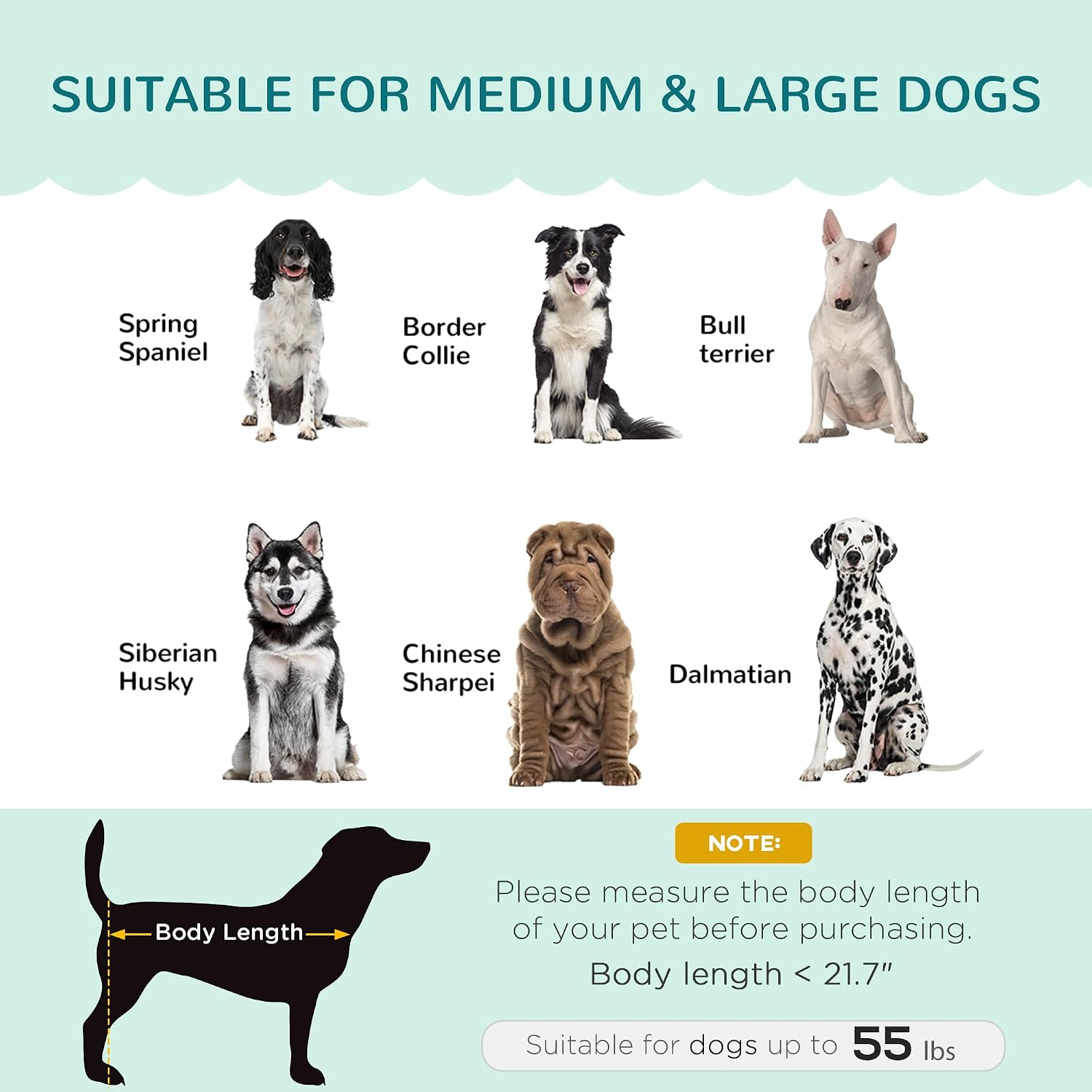 PawHut Velvet Large Dog Couch with Foam Cushion, Soft and Cute Bed with Pearl Design, Sofa for Big and Medium Dogs, Green