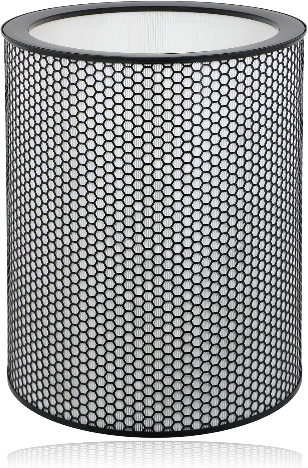 Dyson HEPA Filter