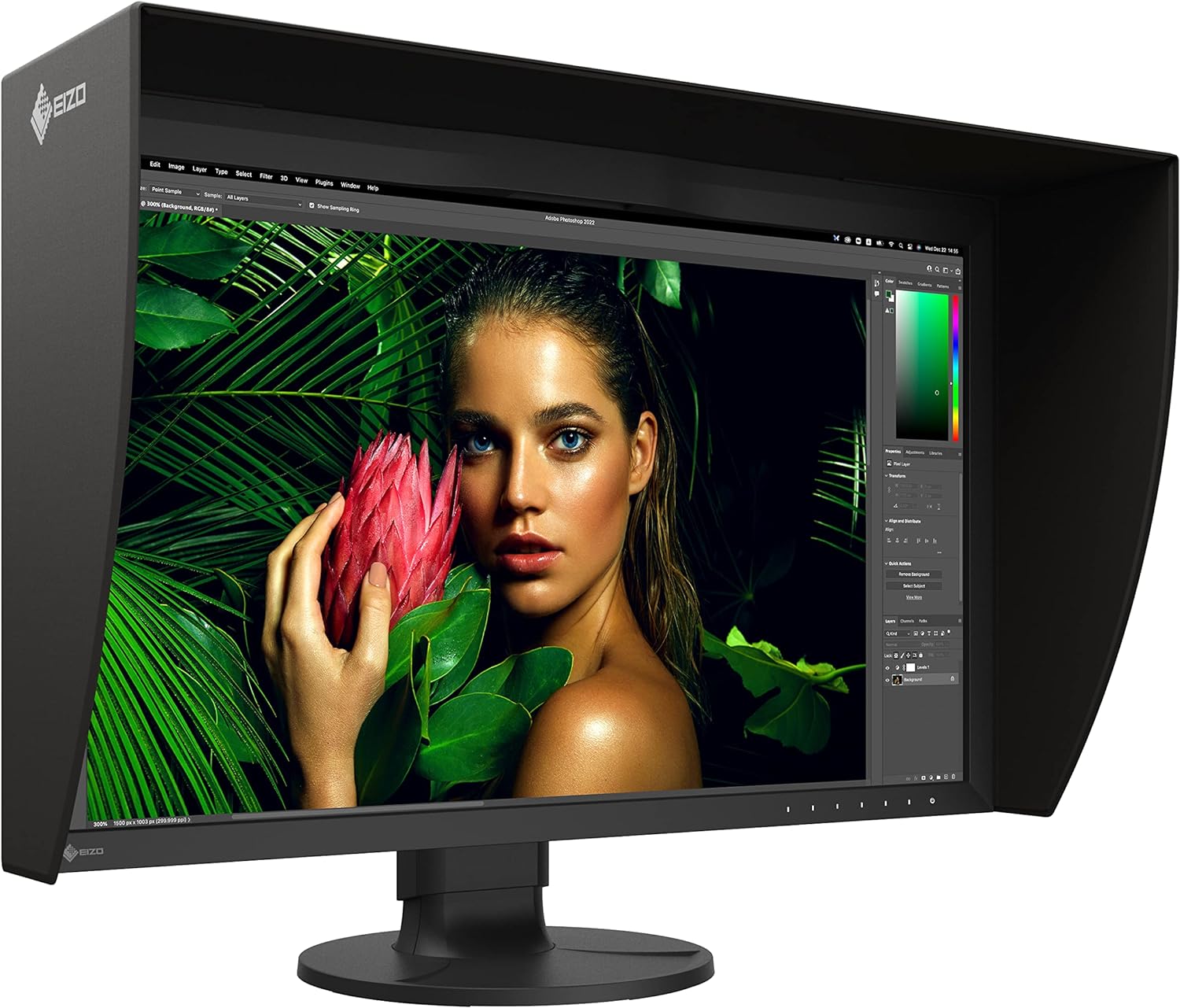 EIZO ColorEdge CG2700S-BK 27' Class WQHD LCD Monitor - 16:9 - Black