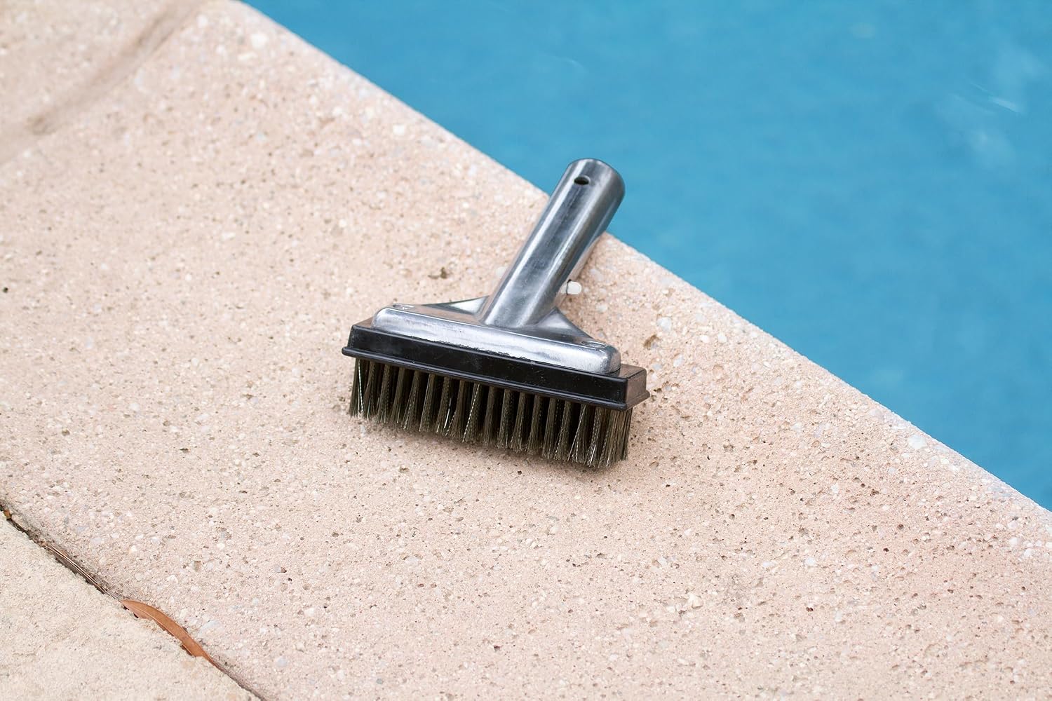 Poolmaster 20178 5-Inch Aluminum-Back Swimming Pool Algae Brush with Stainless Steel Bristles,Classic Collection,(Pack of 12)