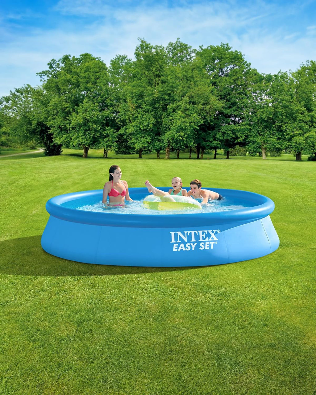 Intex Easy Set 13 ft x 33in Above Ground Pool Set, Round Inflatable Swimming Pool with 530 GPH Cartridge Filter Pump and Type A Cartridge