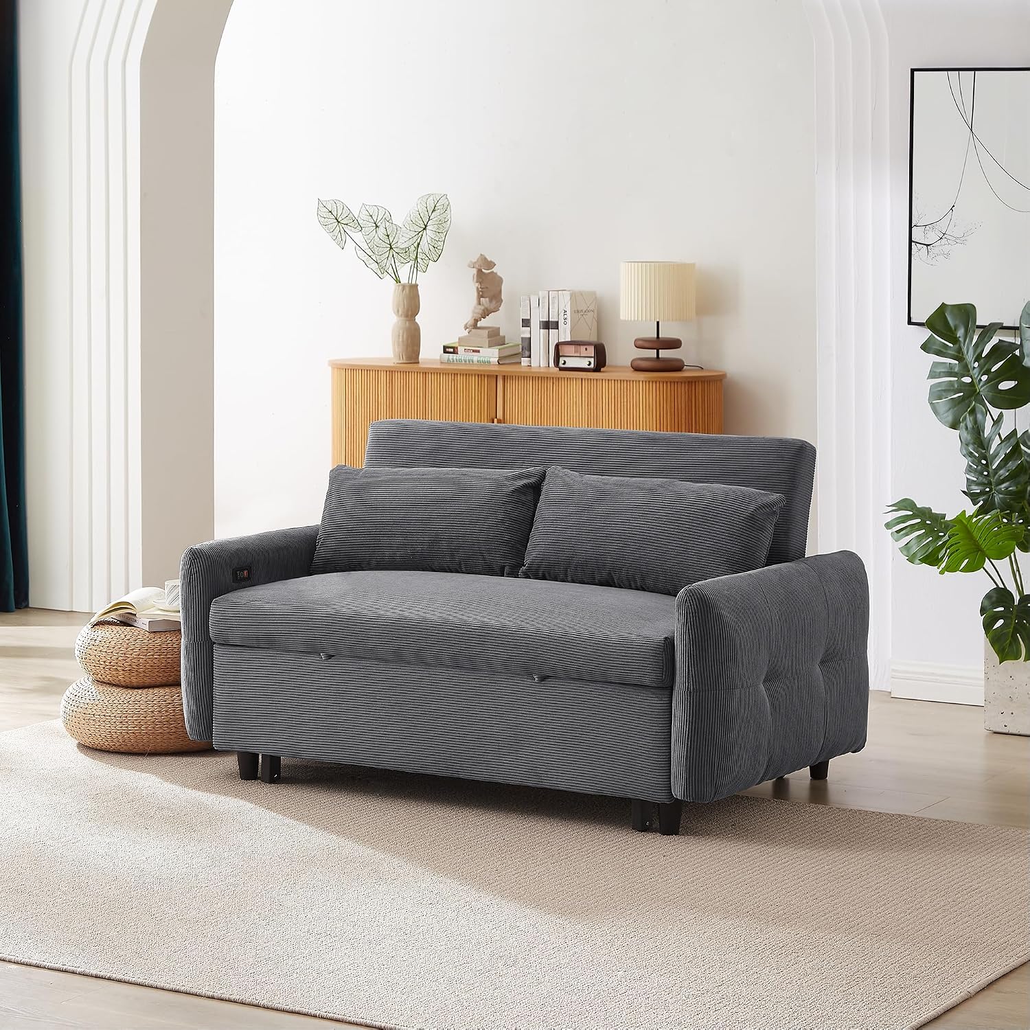 Merax Pull-Out Sofa Bed with Adjustable Backrest and Two Throw Pillows, 2 Seat Loveseat Lounge & Type C and USB Ports, 3 in 1 Convertible Sleeper Couch for Living Room, Dark Grey